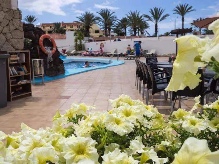 Apartment In Playa De Las Americas 1 외부 사진